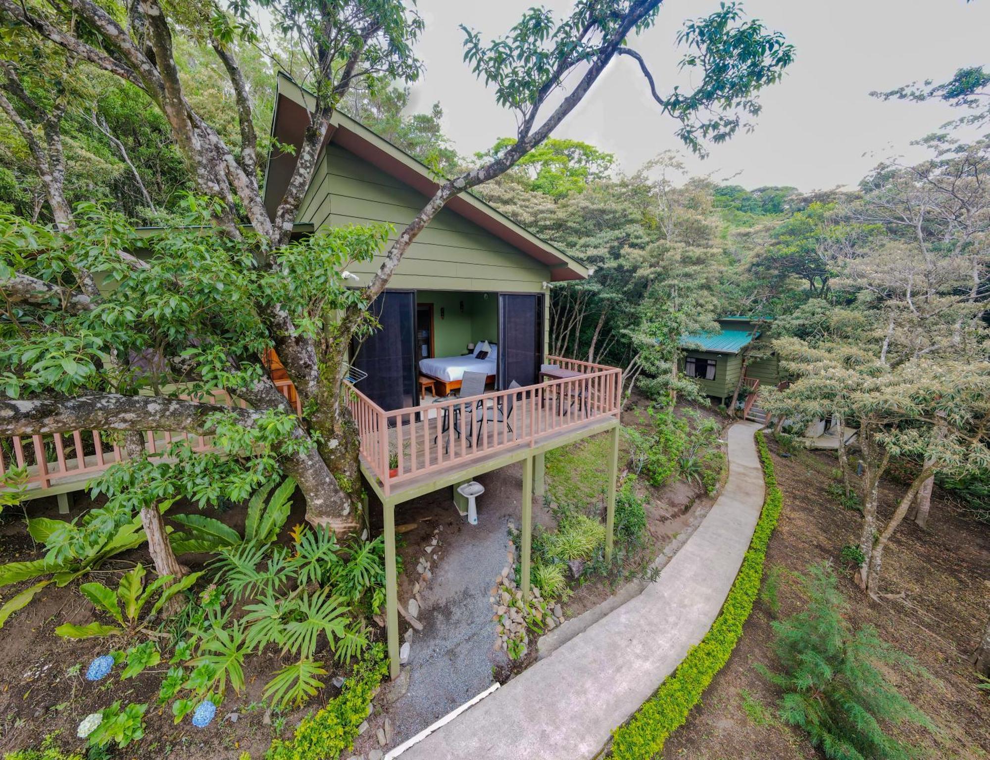 モンテベルデCasas Clusiaアパートメント エクステリア 写真